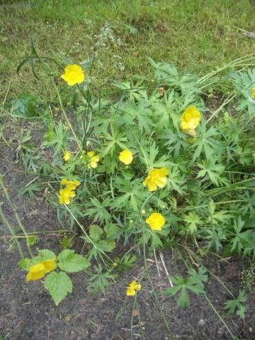 Foto: Prysky�n�k