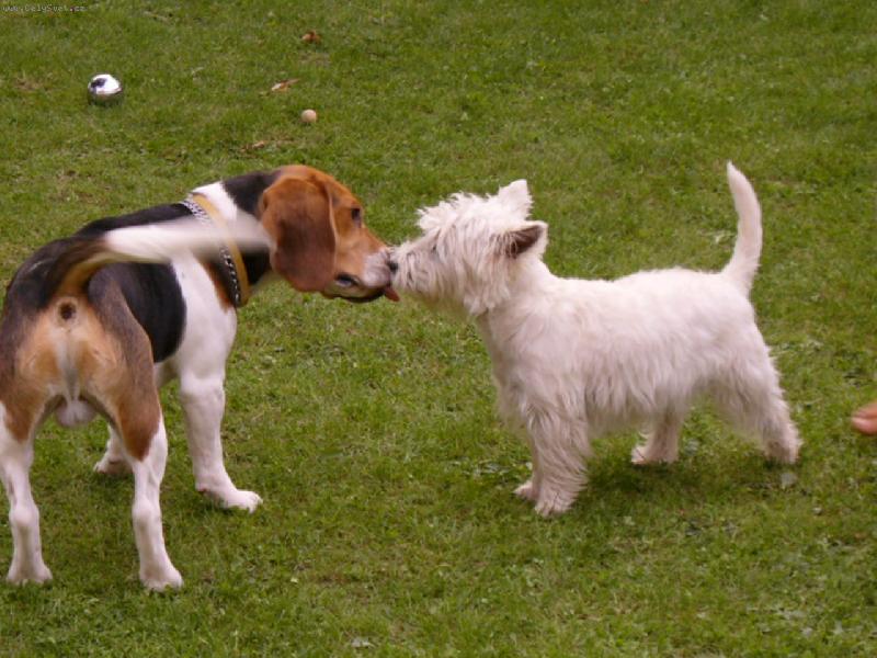 Foto: Sunny s kamar�dem