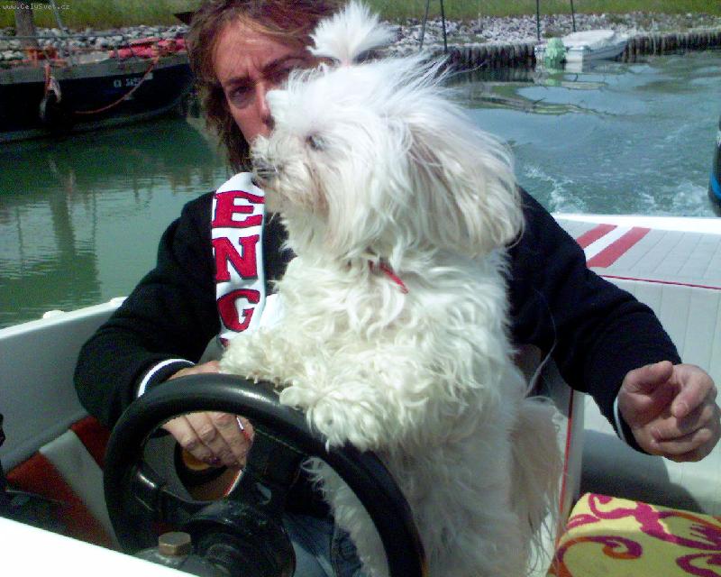 Foto: cindy-a jedem....