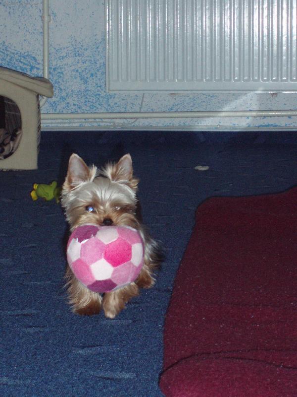 Foto: Coco s m��kem