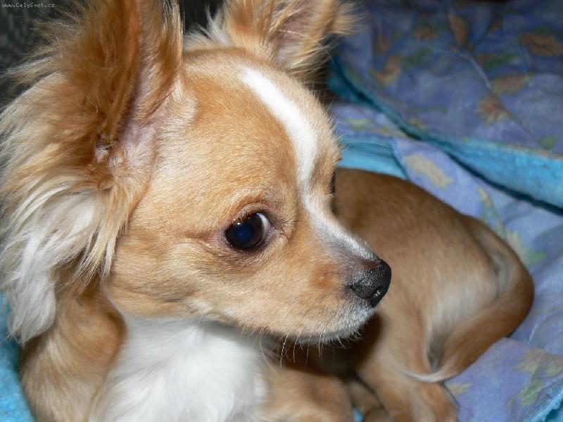 Foto: n�co pro mn�?...