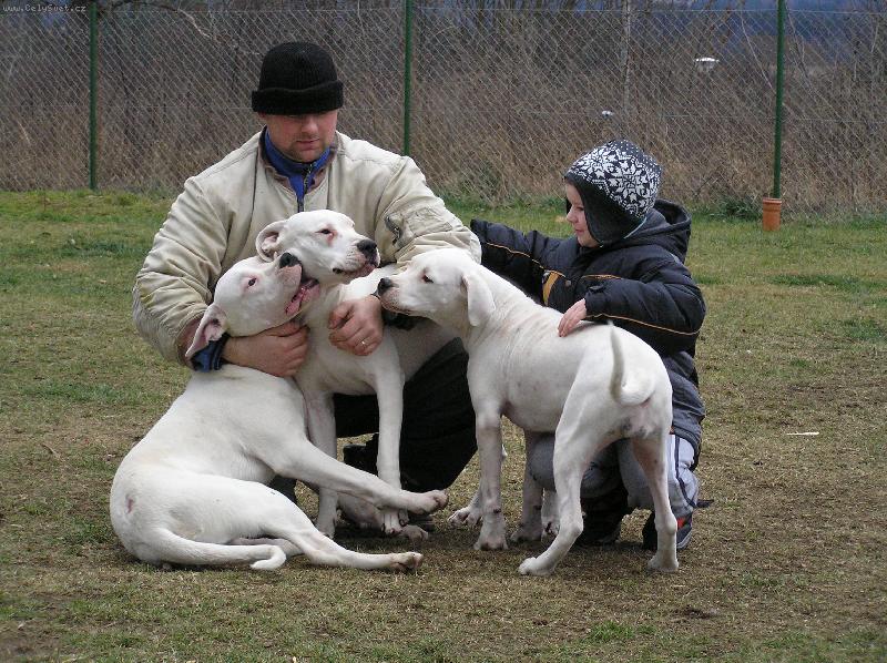 Foto: Pacha,Diablo, Jacinta