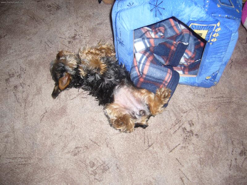 Foto: v te boudi�ce je ale horko