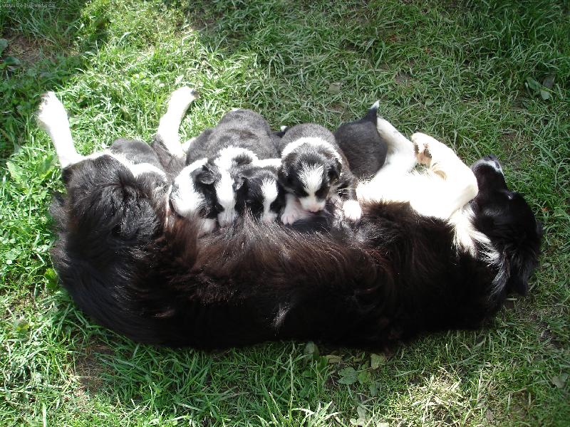 Foto: jennynka krmi �t�natka