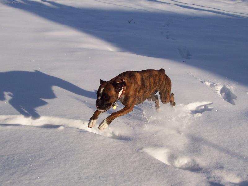 Foto: Elinka a sn�h