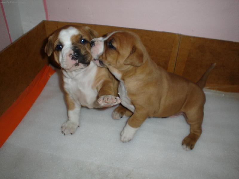 Foto: ��e�ata-Perl�ci