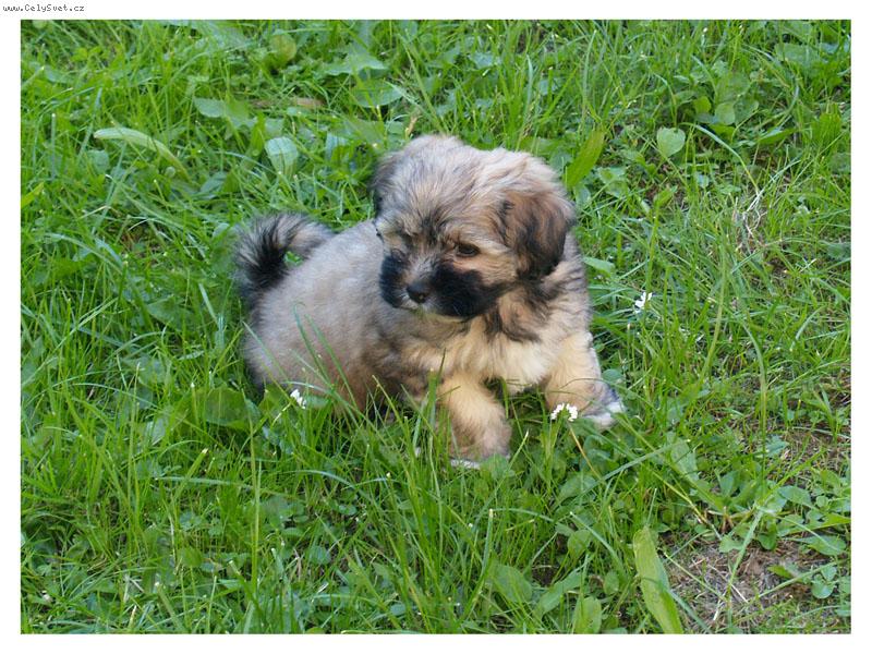 Foto: Ange-Skoro 2 m�s�ce