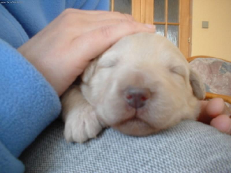 Foto: Puffy-Spink�me :)