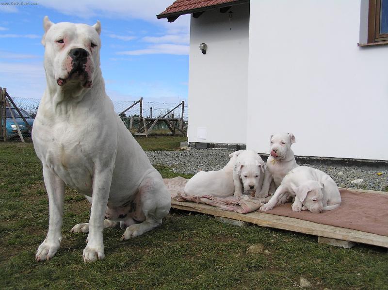 Foto: Ricardo a jeho C d�ti