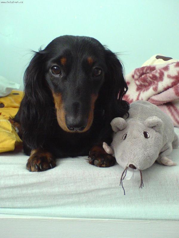 Foto: D�ja ze �t�kotu