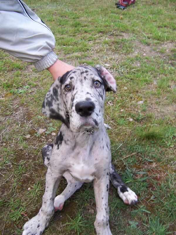 Foto: Slun��ko Ambru�ka-L�ska