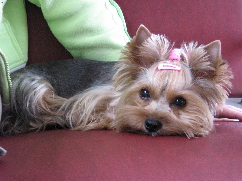 Foto: Ami na cest�ch