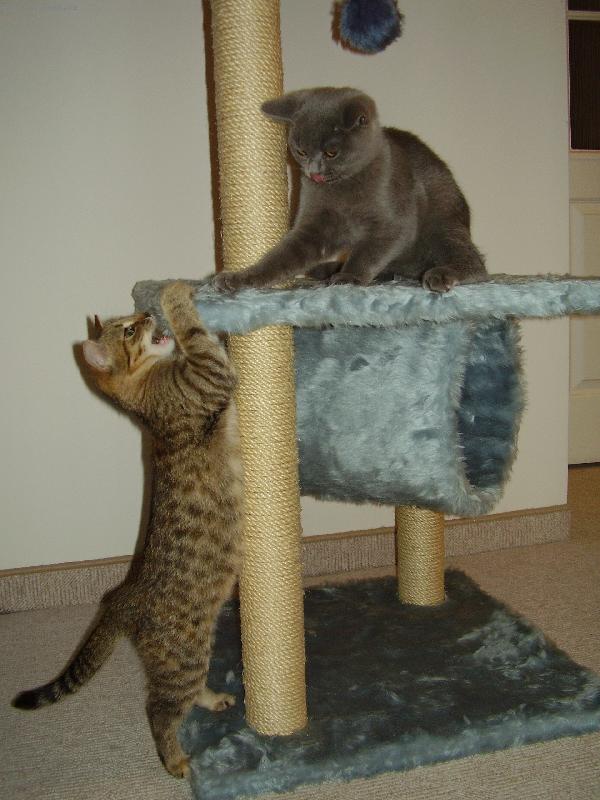 Foto: Max��ek-Max��ek s Jur�kem