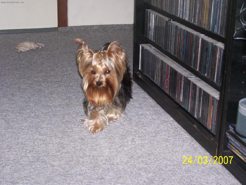 Foto: Bessy-www.jork-bessy.estranky.cz