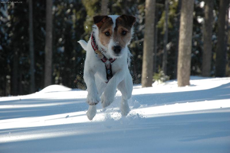 Foto: Rusty �pindler�v Ml�n