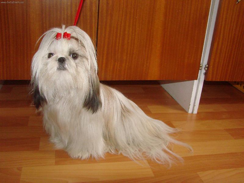 Foto: Roz�rka z Ivafre