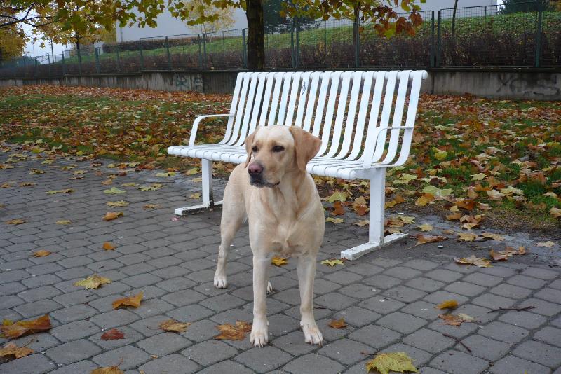 Foto: Podzim-B�ra vyhl��