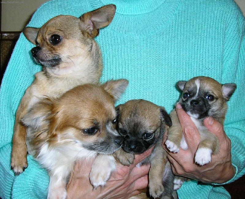 Foto: ��astn� rodinka