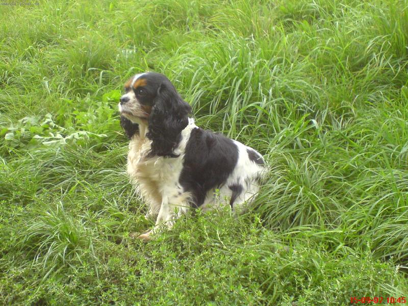 Foto: JENINKA-JENINKA