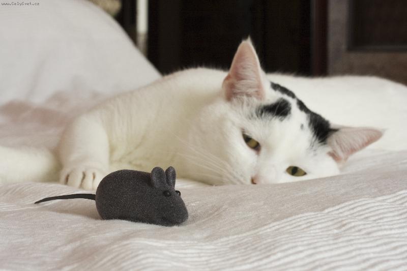 Foto: Raul-Lovec my��