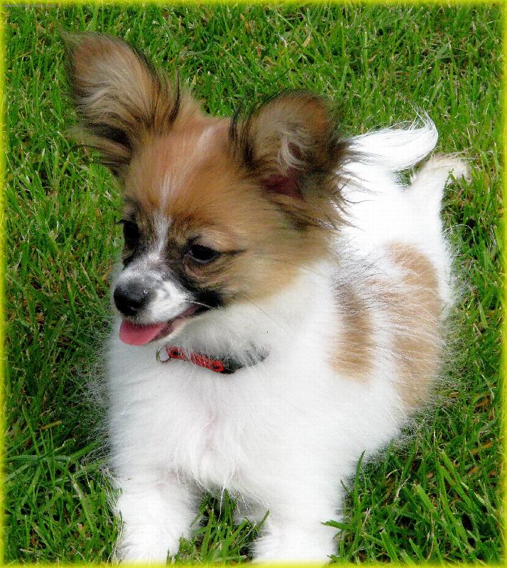 Foto: Barbie-koukn�te na mn�