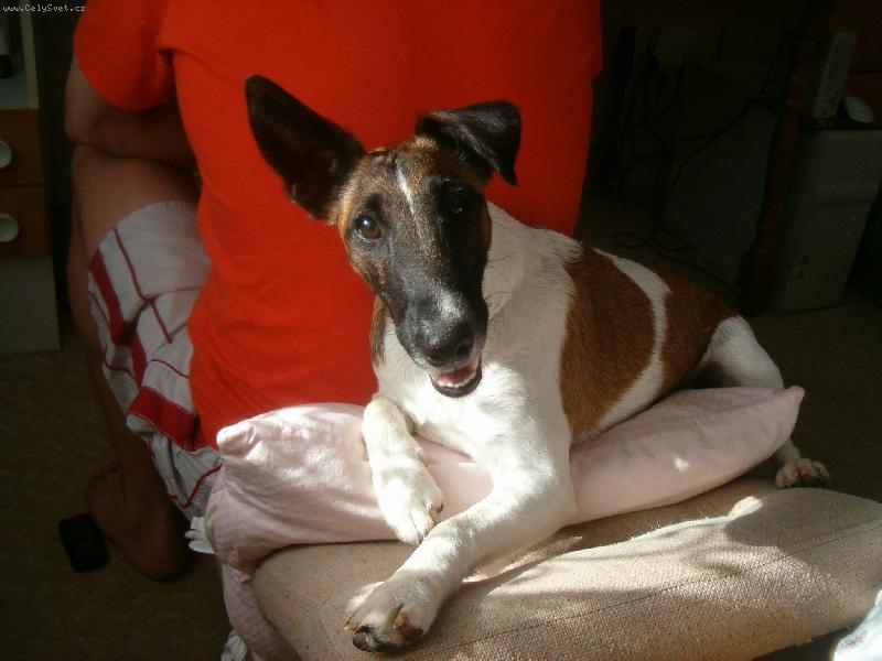 Foto: Bessy z Rump�lu