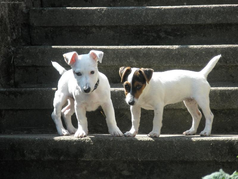 Foto: Whit�k s K�ou