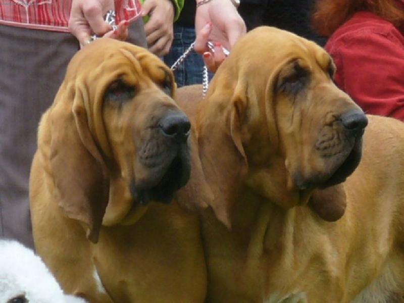 Foto: soust�ed�n�