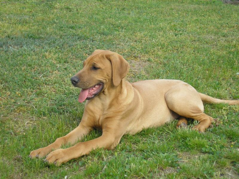 Foto: bruno-odpo��v�m