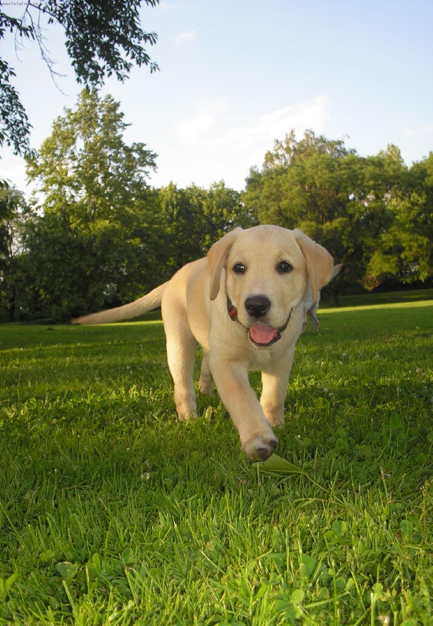 Foto: Jamie 2 m�s�ce