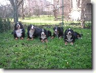 Astor Polepsk� �dol� a jeho p��tel�