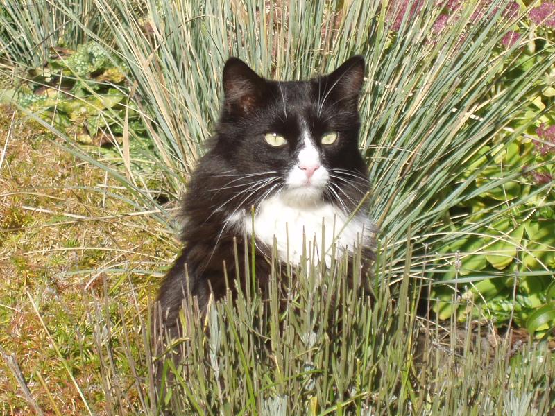 Foto: Mat�sek-M�m na to.