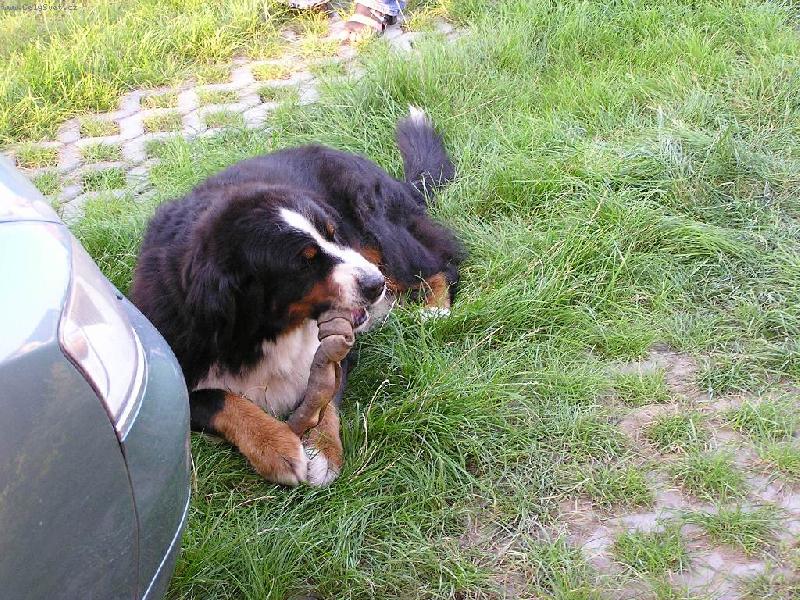 Foto: To je ale dobrota