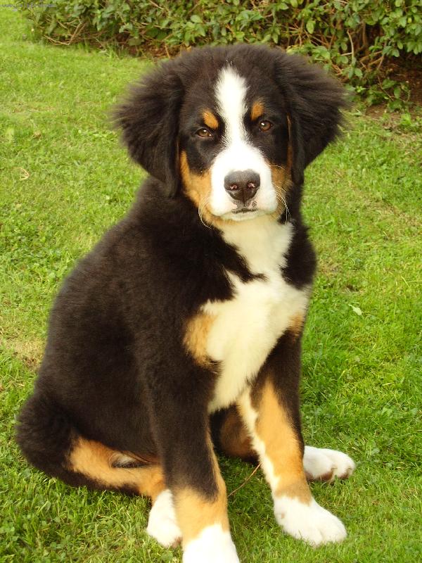 Foto: Fo�te �ek�m! :)