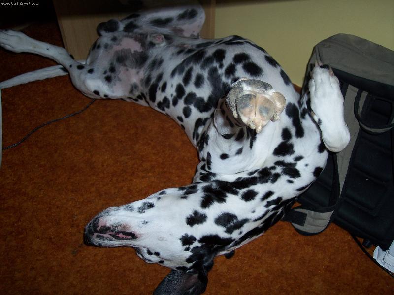 Foto: Time�ek-To se mi to spink�