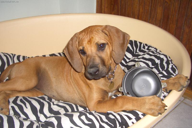 Foto: Aischa-Tak to som bola este malinka....