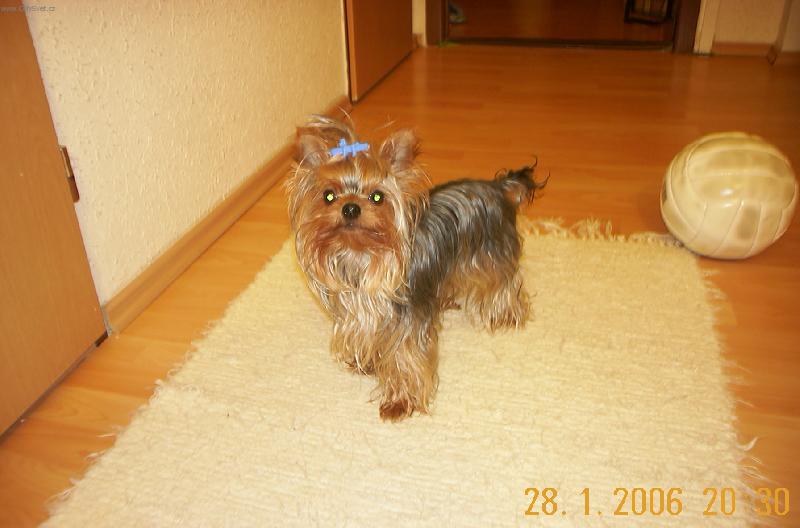 Foto: Max�k--To jsem ale fe��k.