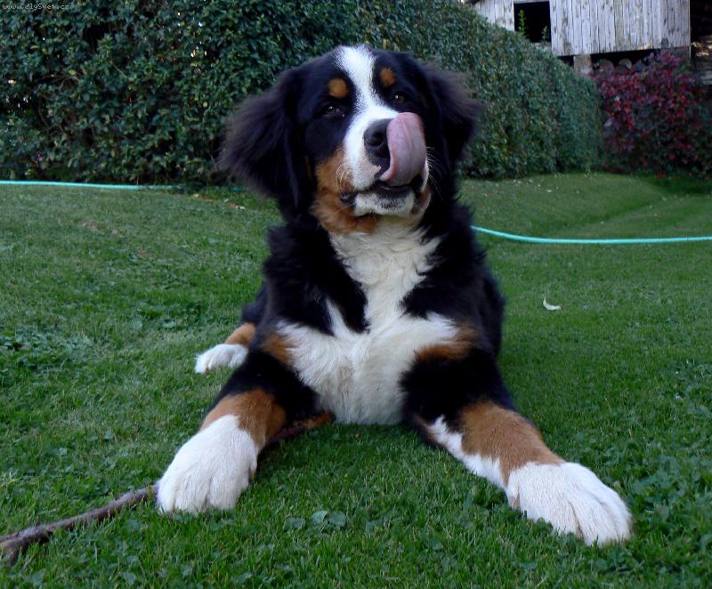 Foto: Sn�m t�!-To byla dobrota! :)