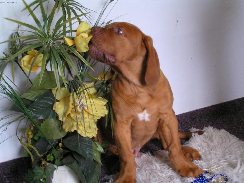 Foto: Hmmm...ta von�!!!