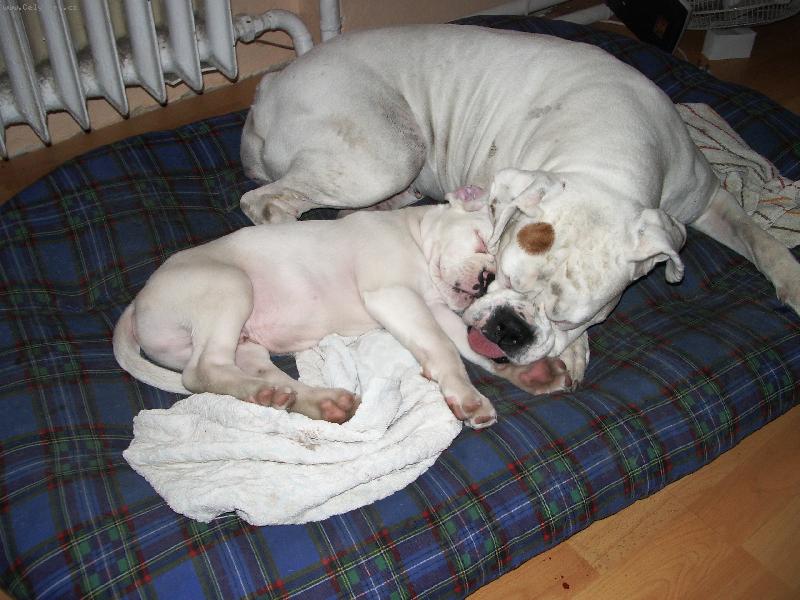 Foto: Jeden pel�ek sta��...