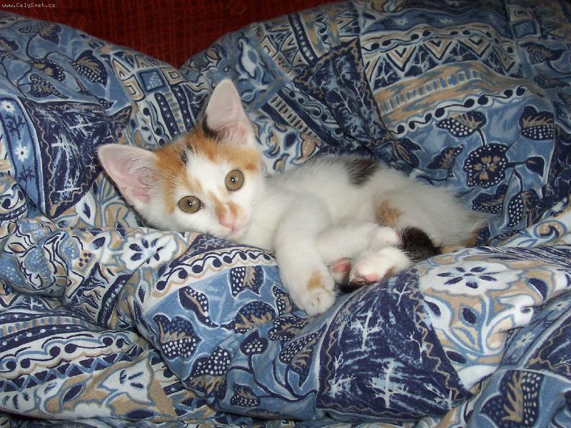 Foto: Dorotka