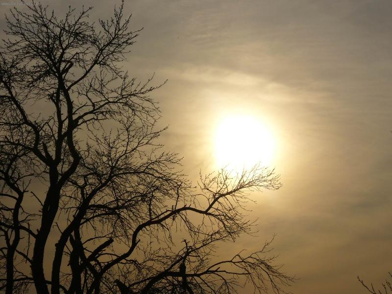 Foto: Slun��ko-z�pad