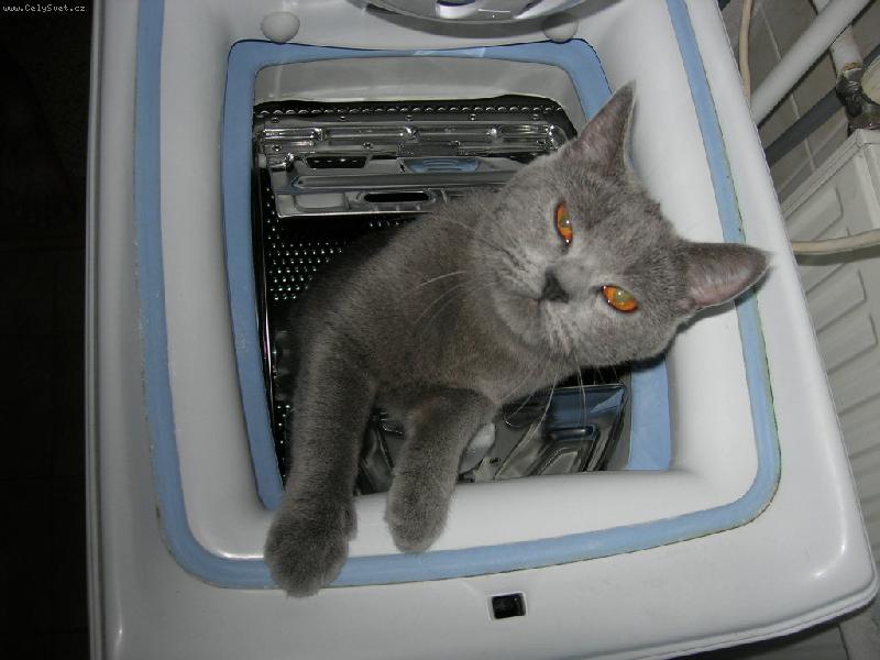 Foto: Debbie-Hra na schovku