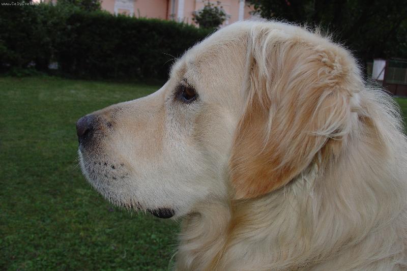 Foto: Profil zla���ka-Dag�sek