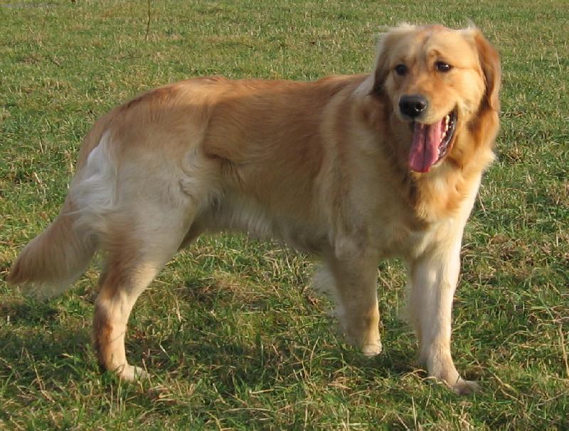 Foto: uka� jazyk...