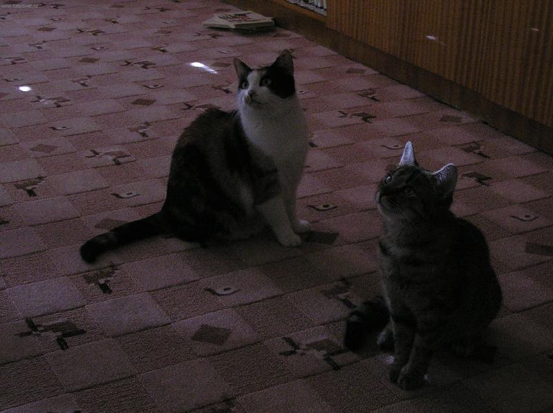 Foto: Nese� j�dlo?!