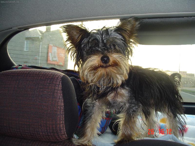 Foto: miminko-j�����