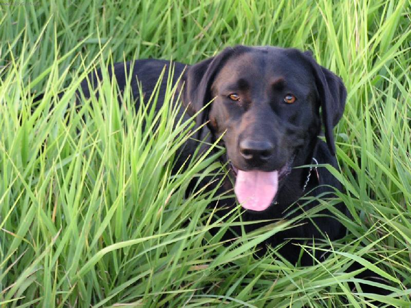 Foto: Britu�ka-Schov�van�