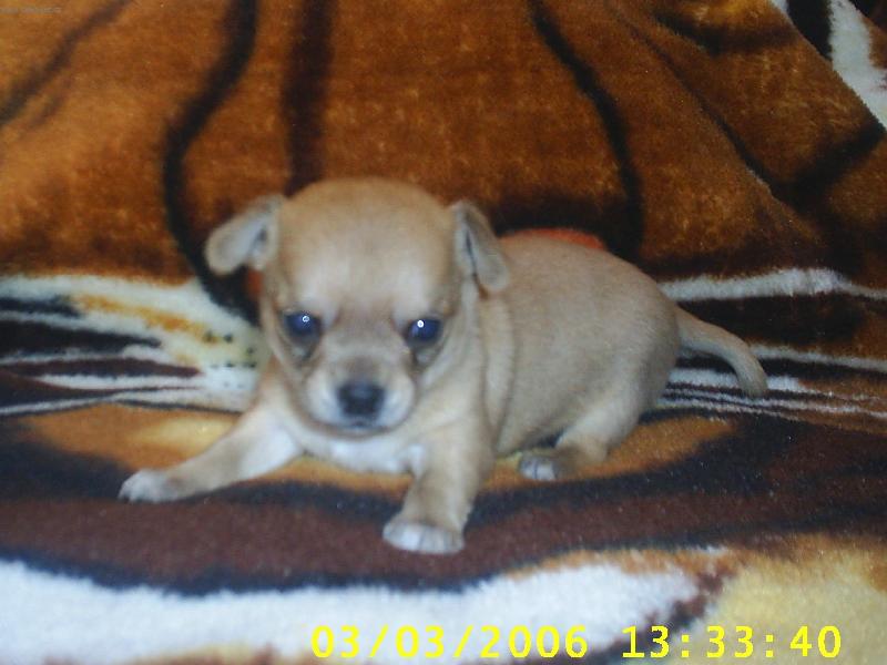 Foto: 25 dn� na sv�t�.