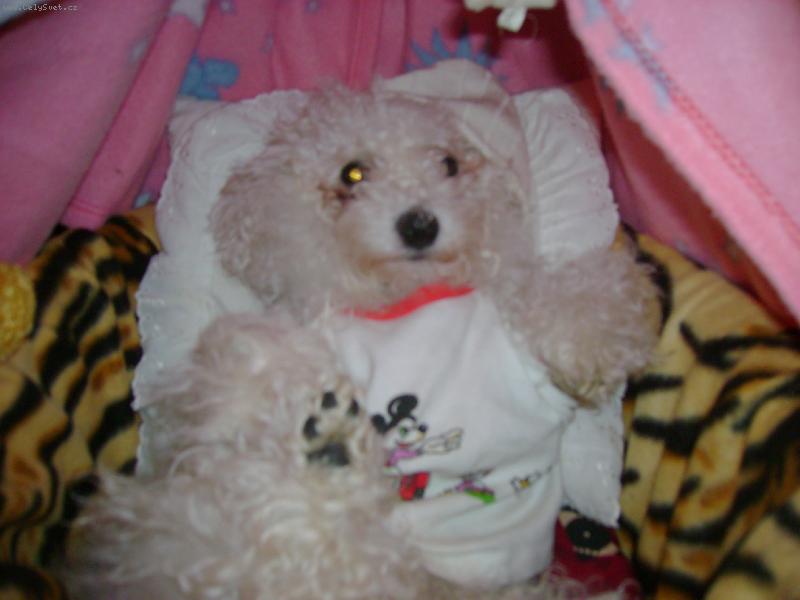 Foto: spink�m v post�lce